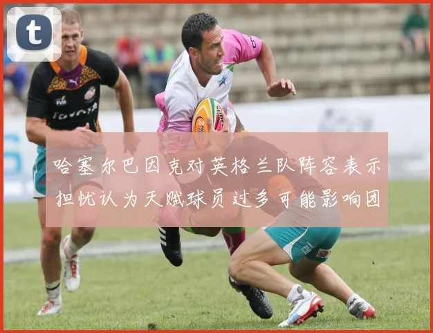 哈塞尔巴因克对英格兰队阵容表示担忧认为天赋球员过多可能影响团队合作