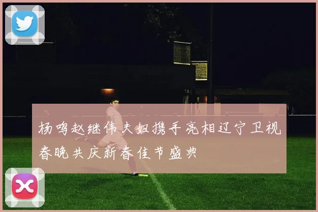 杨鸣赵继伟夫妇携手亮相辽宁卫视春晚共庆新春佳节盛典