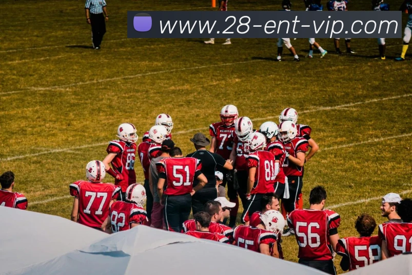 28圈平台生态图